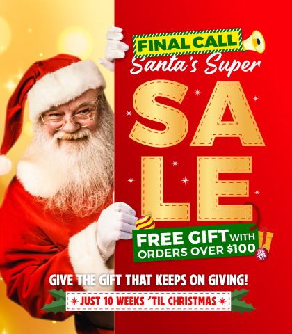 3 Days Only! HUGE Wall Decor Deals - small